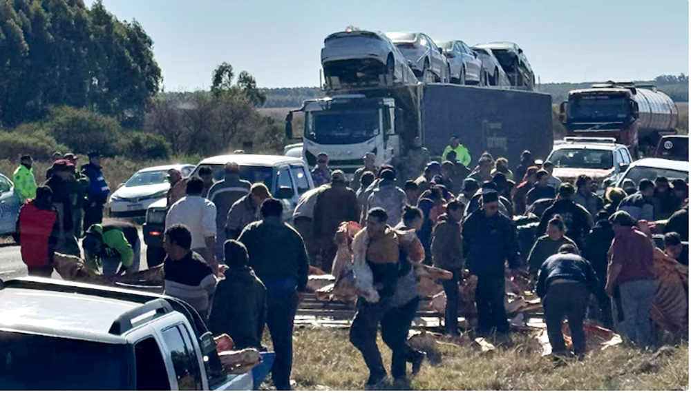 Saquearon un camión cargado de carne que volcó en la Ruta 14 en Entre Ríos