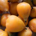 El yatay fue oficialmente incorporado al Código Alimentario Argentino