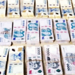 Viajaba con más de 50 millones de pesos sin aval legal