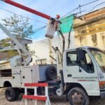 Espacios Verdes realiza trabajos de poda en el microcentro de la ciudad