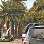 Gualeguaychú refuerza sus políticas de seguridad vial con nuevas medidas de control