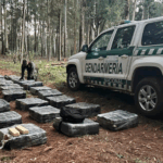 Patrulla motorizada detecta más de una tonelada de marihuana entre la maleza