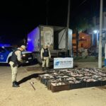 Villa Paranacito: ” decomisaron más de una tonelada de pescados por un valor de cinco millones de pesos