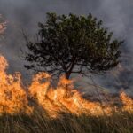 18 de agosto: compromiso ciudadano para prevenir incendios forestales