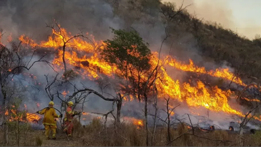 Preocupación por los incendios forestales en el norte del país: se detectaron varias zonas afectadas
