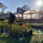 Espacios Verdes plantó nuevas especies en Plaza Urquiza
