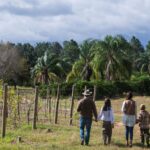 El receso invernal dejó un impacto económico superior a los 86.000 millones en Entre Ríos