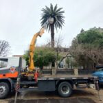 Espacios Verdes realizó podas en la Escuela Nº 2 “Domingo Matheu”