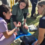 Semana del Corazón: Gualeguaychú promueve hábitos saludables y una ciudad cardioprotegida