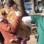 Nueva jornada de vacunación antirrábica en Plaza Haddad