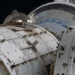 Rusia lanzó al espacio un “arca de Noé” con animales y plantas
