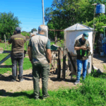 En la localidad de General Galarza rescatan un mono carayá enjaulado en una finca