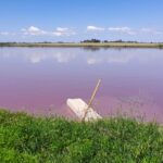 Entre Ríos: apareció tono rojizo en aguas del arroyo Espinillo