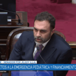 El Senado rechazó el veto de Javier Milei a los fondos del Garrahan y a la ley de Financiamiento Universitario