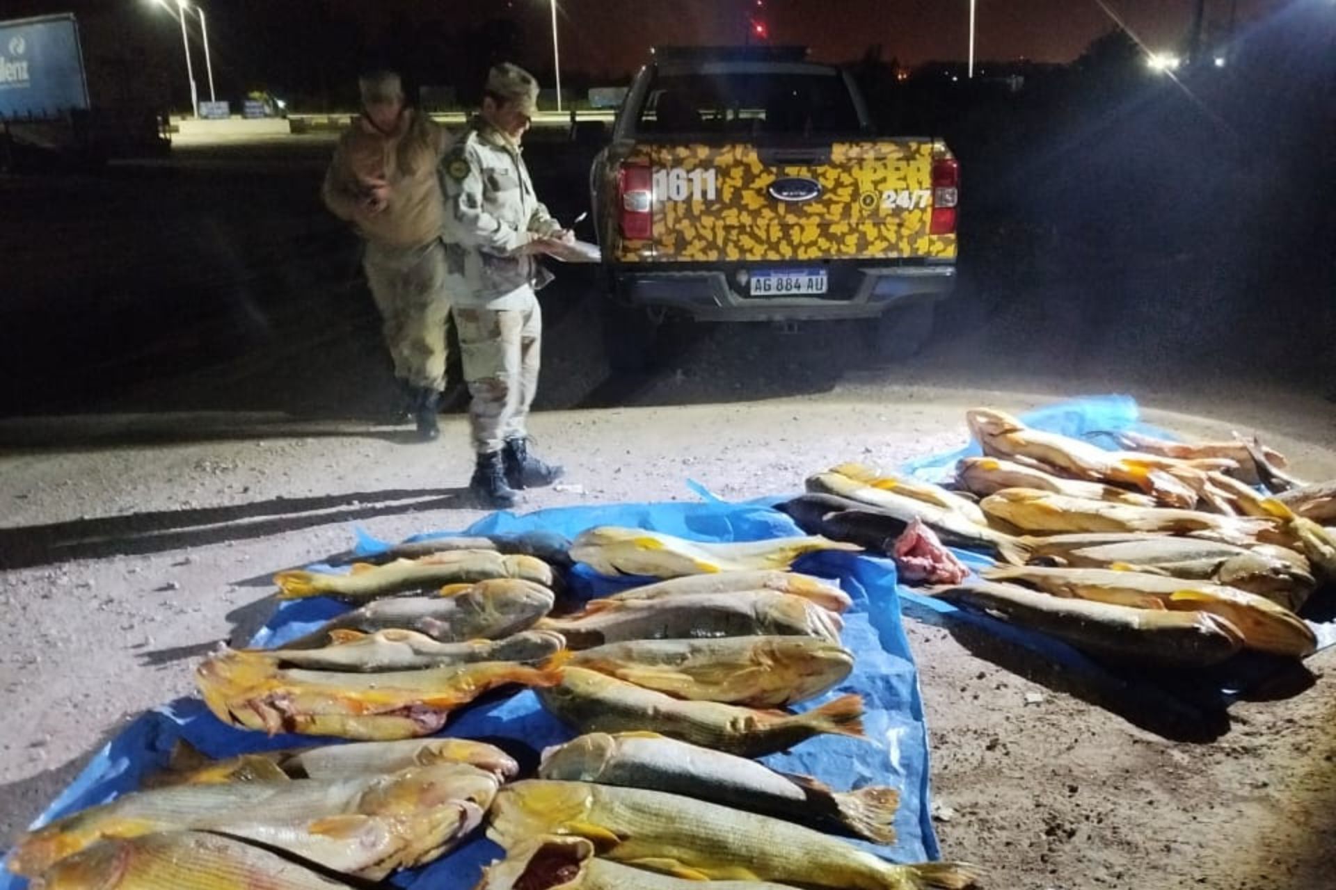 Decomisan más de 400 kilos de pescado en un operativo de control en Entre Ríos