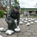 El can “Roque” marcó la existencia de 48 kilos de marihuana dentro de dos encomiendas