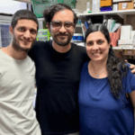 Científicos argentinos desarrollaron una herramienta con IA para predecir tratamientos contra el cáncer