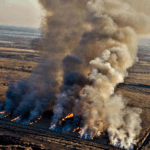 Otro revés judicial para Rufino Pablo Baggio, la justicia lo volvió a imputar por los incendios en el Delta