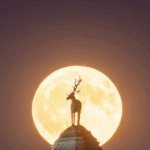 5 de Noviembre: Superluna del Cazador