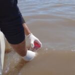 El río Gualeguaychú mantiene estándares recomendables de calidad