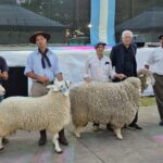 La mayor muestra ovina de la región se realizó en Urdinarrain