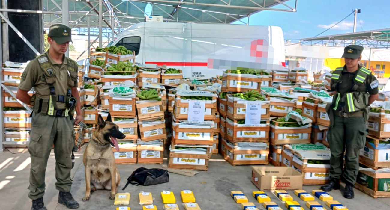 El hallazgo de más de 29 kilos de cocaína ocultos en un transporte de bananas, derivó en el allanamiento de inmuebles y el secuestro de otros 34 kilos de la droga