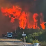 Incendios en la Patagonia: aplicarán multas de casi  millones a quienes hagan fogatas en zonas prohibidas
