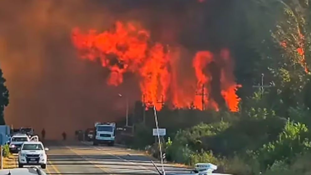 Incendios en la Patagonia: aplicarán multas de casi  millones a quienes hagan fogatas en zonas prohibidas