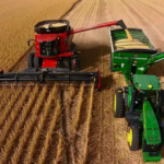 Las ventas de Entre Ríos al mundo crecieron 47 por ciento en el último año y casi 100 por ciento desde 2023