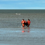Prefectura rescató a dos perros atrapados en un banco de arena
