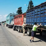 Detectaron garrapatas en un transporte de hacienda y ordenaron el retorno de los animales