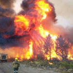 Incendios forestales: el Gobierno incluyó a Santa Cruz en la Emergencia Ígnea en medio del avance del fuego