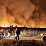 Mar del Plata: Bomberos de la Prefectura trabajaron en la extinción de dos importantes incendios