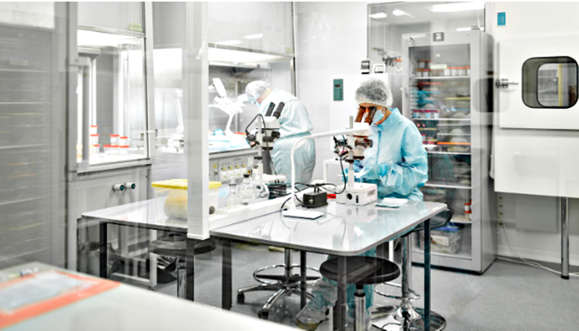 Investigadores hallan una proteína que podría revertir el envejecimiento de las células