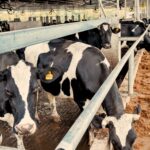 En Expoagro, la provincia anunció créditos con tasa bonificada a productores y pymes