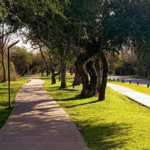 Compromiso y Naturaleza: La Labor de la Cooperativa “Transformando Camino” en Gualeguaychú